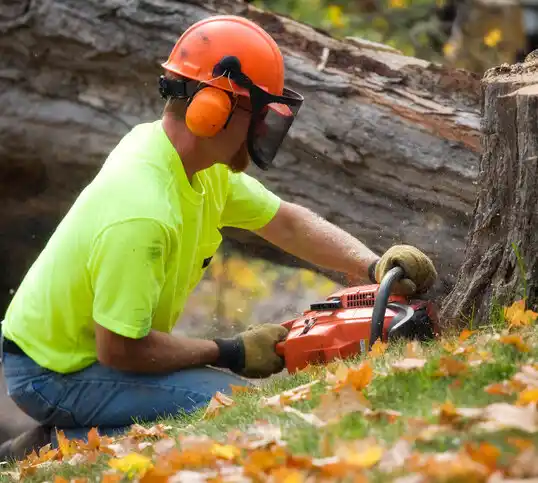 tree services Randleman